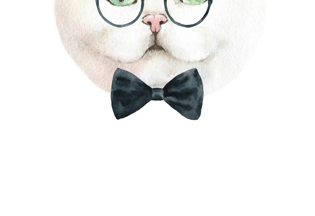 猫咪素材