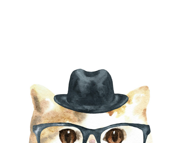猫咪素材
