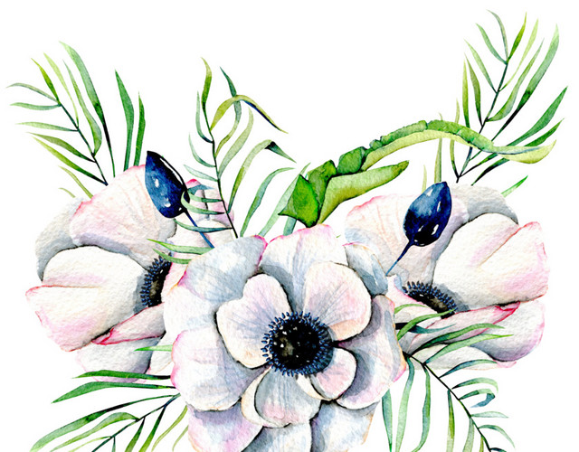 花卉素材
