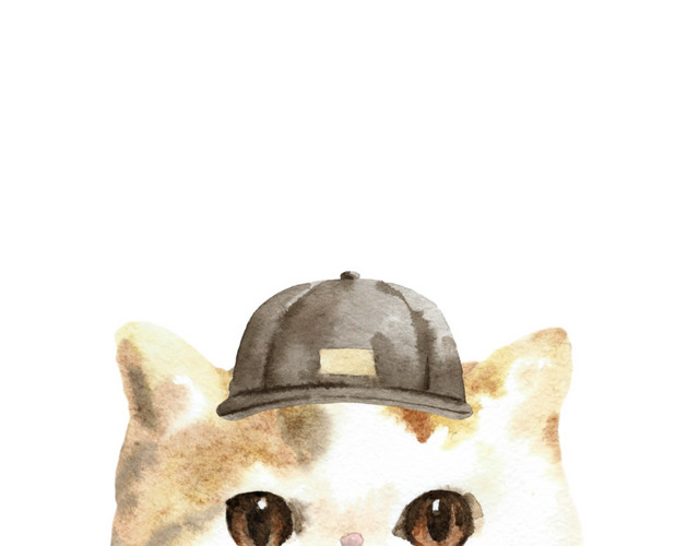 猫咪素材