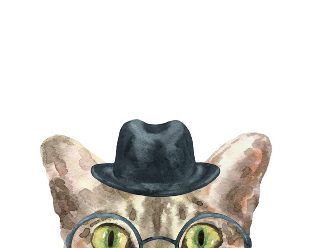 猫咪素材