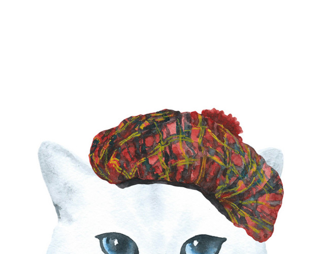 猫咪素材
