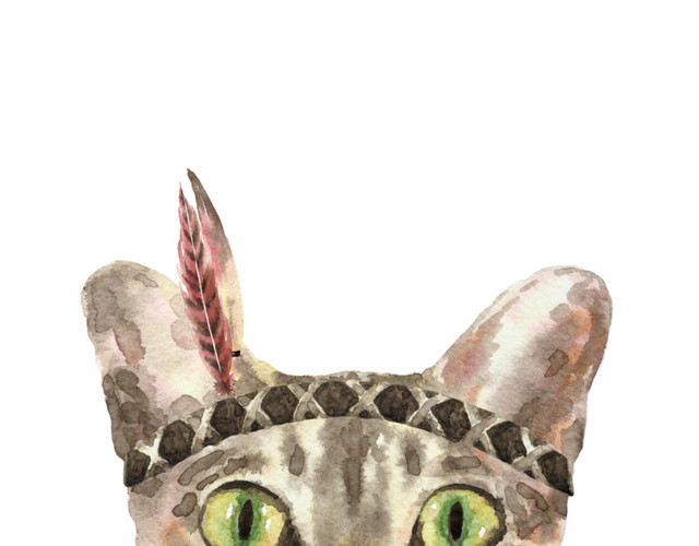 猫咪素材