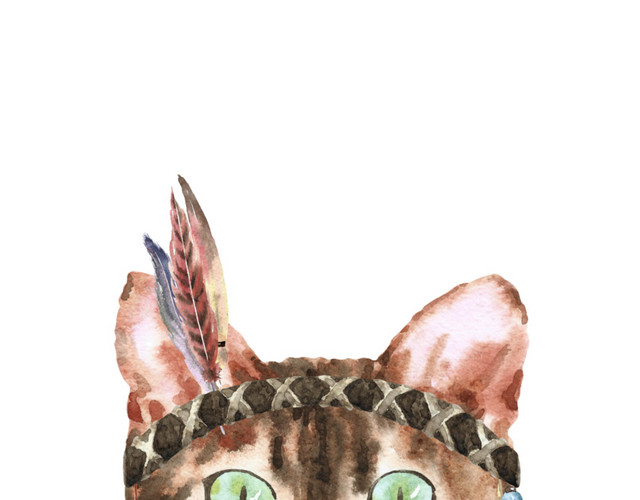 猫咪素材