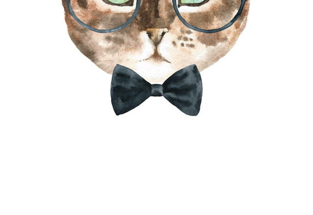 猫咪素材