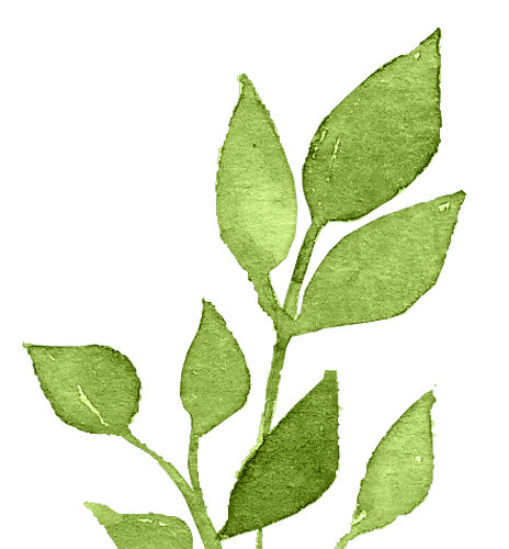 植物素材