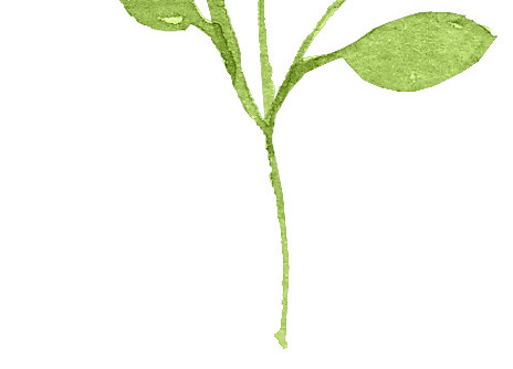 植物素材