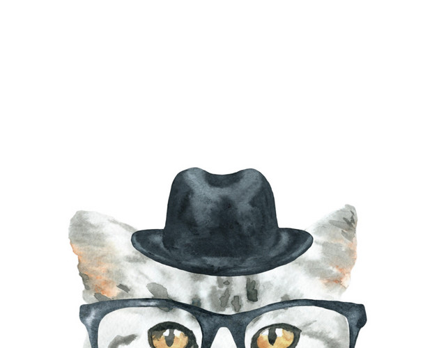 猫咪素材