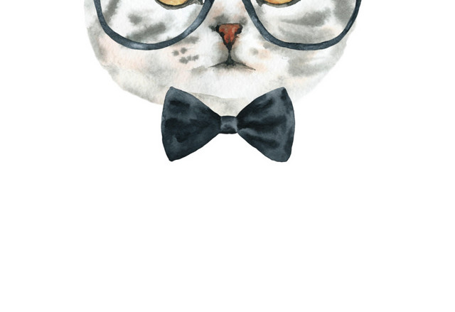 猫咪素材