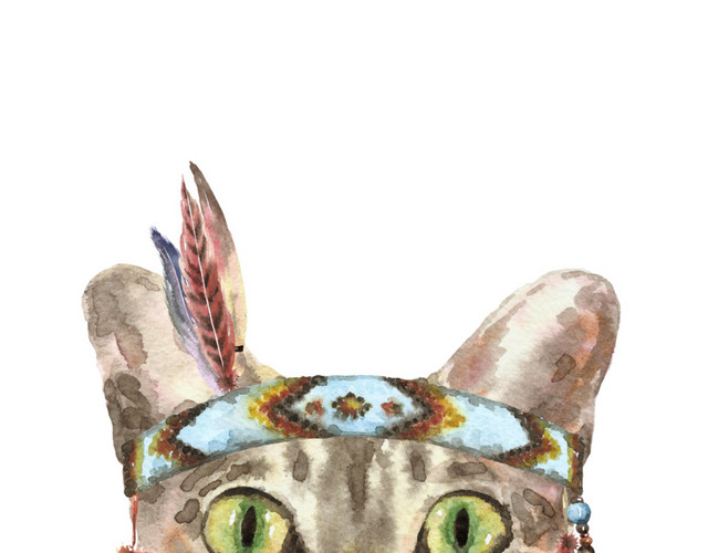 猫咪素材
