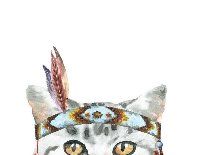 猫咪素材