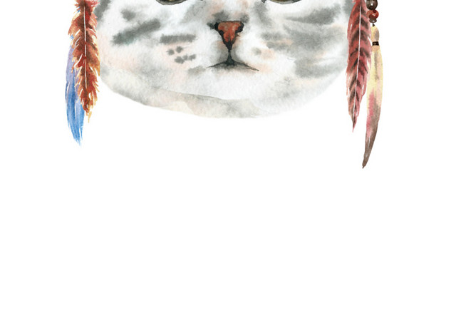 猫咪素材