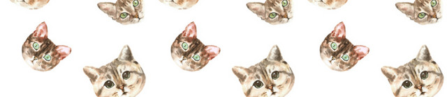 猫头素材