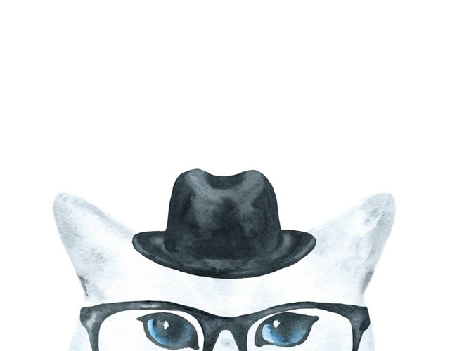 猫咪素材