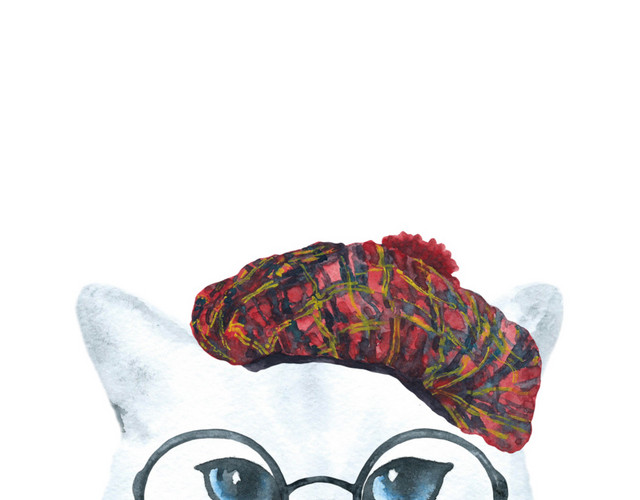 猫咪素材