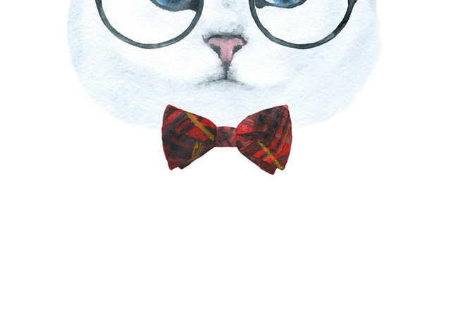 猫咪素材