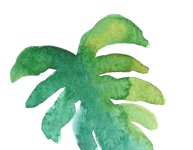 芭蕉叶素材