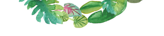 花环素材