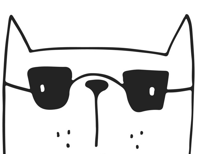 戴墨镜的小猫
