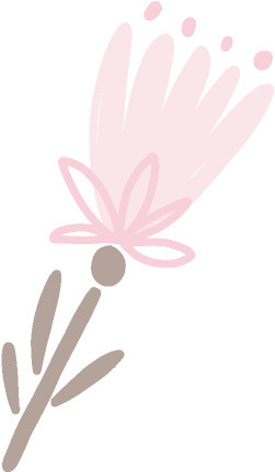 花卉素材