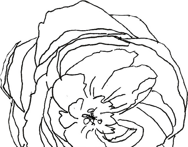 花朵线稿素材