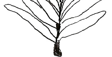 植物线稿素材