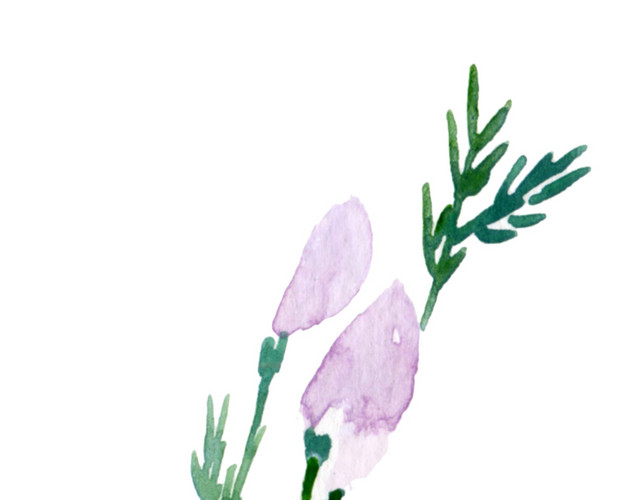 花朵素材