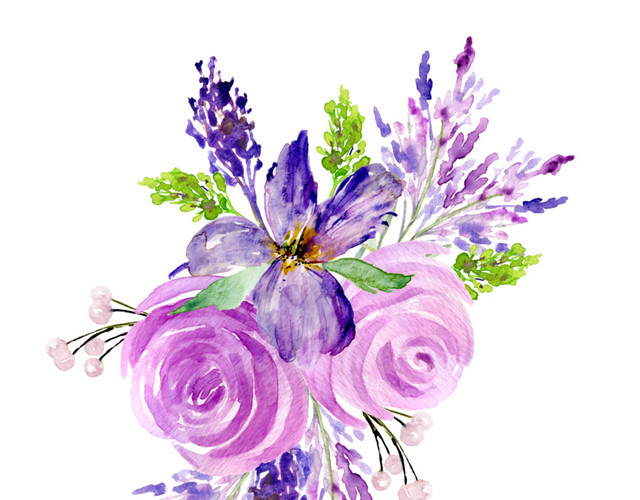 花卉素材