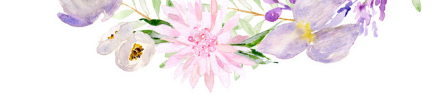 花环素材