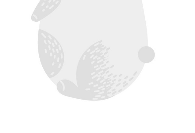 兔子素材