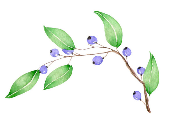 植物素材