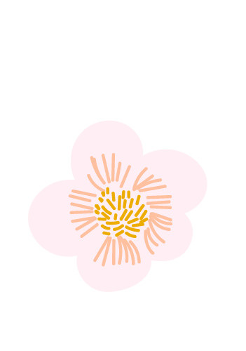 花朵素材