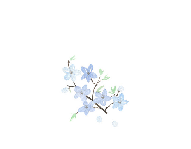 花卉装饰素材