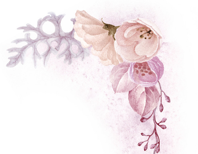 花卉边框素材