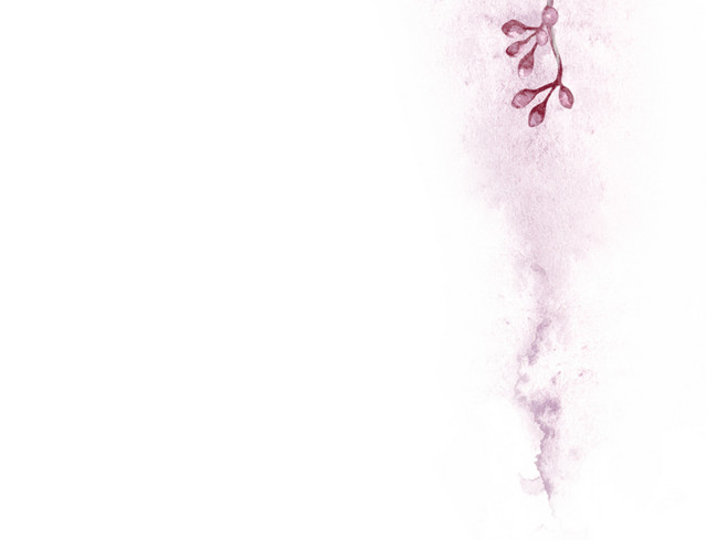 花卉边框素材