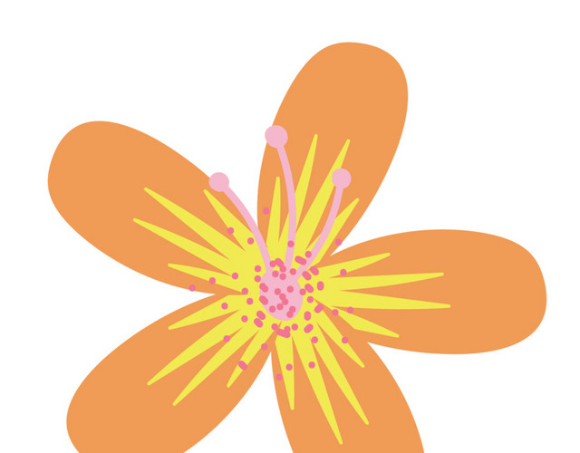花朵素材