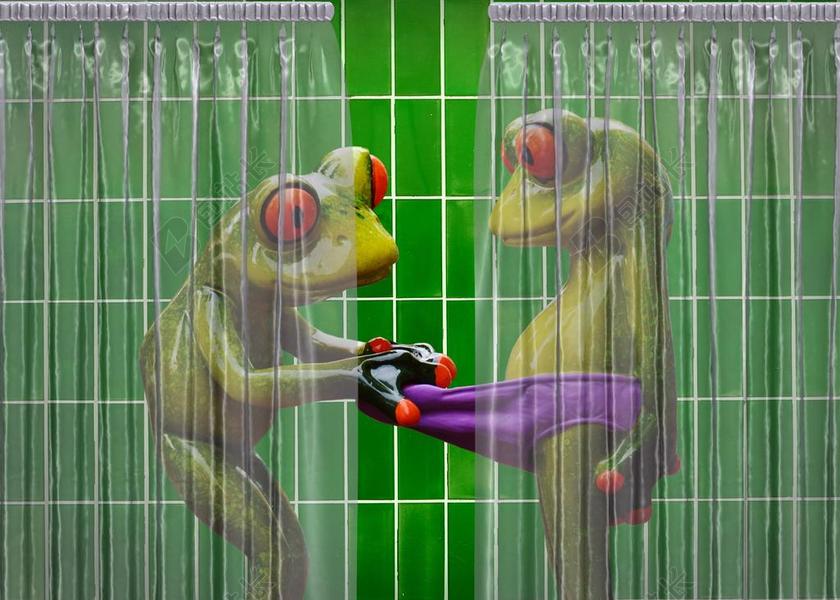 青蛙 浴室 好奇 滑稽 可爱 甜 搞笑 乐趣