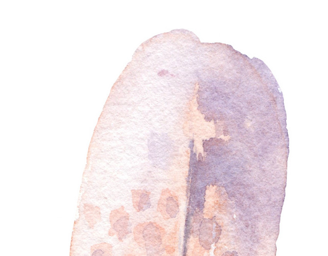 羽毛素材