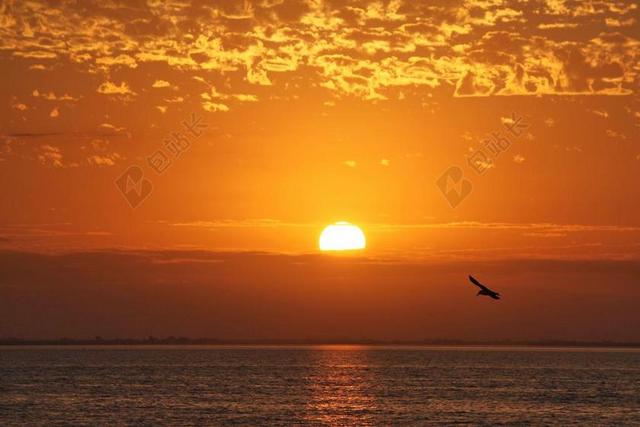 太阳升起 自然 太阳 阳光 幸福 日落 晚间 提高 日出