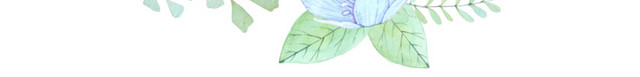花环素材