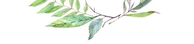 植物圆环素材