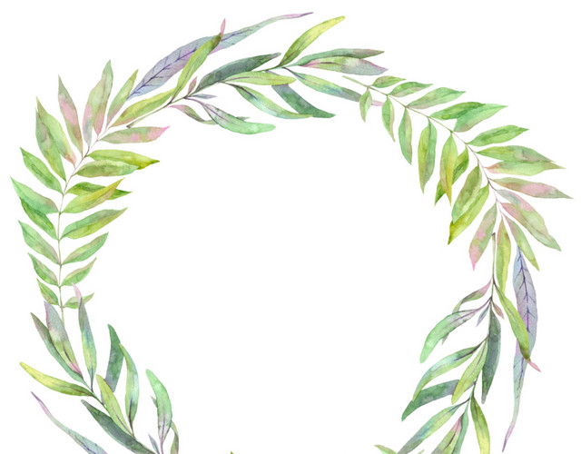 植物边框
