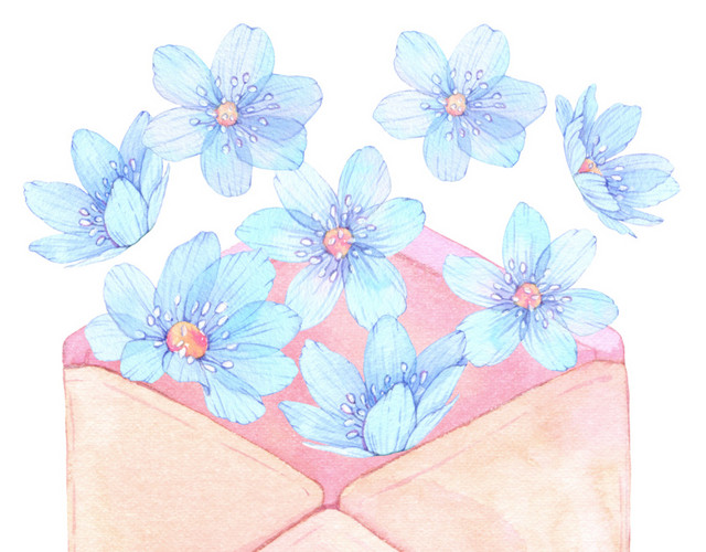 鲜花信封