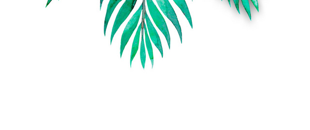 手绘树叶圣诞素材