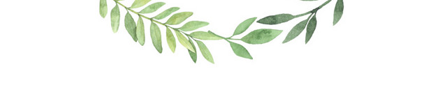 枝条花环素材