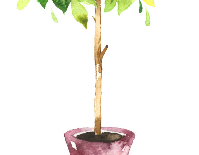 手绘苹果盆栽素材