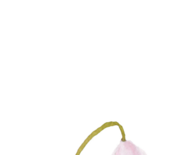 手绘水彩花朵素材