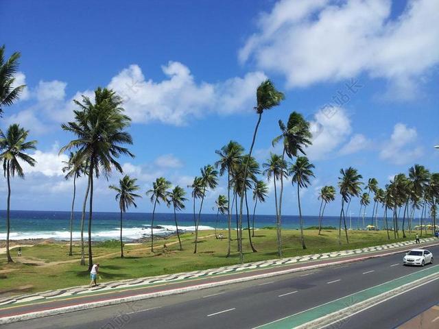 蓝绿自然清新蓝天下汽车开在海滩边的公路上自然旅游交通背景图片