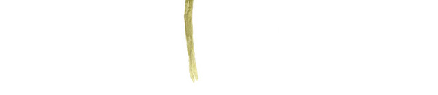 手绘水彩花束素材