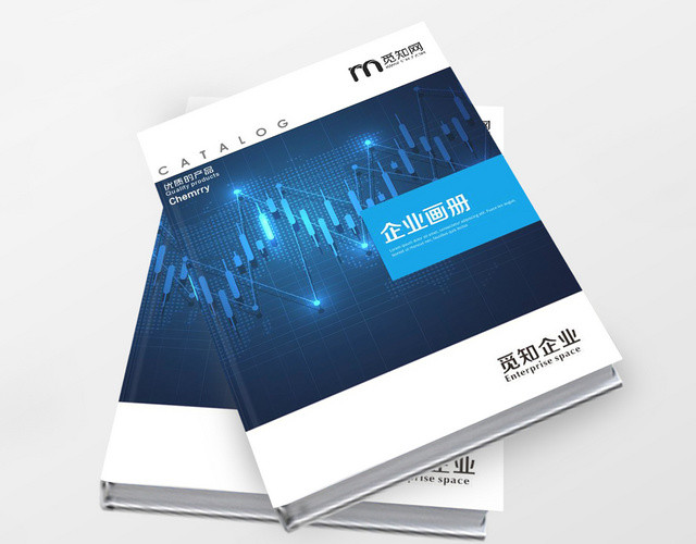 公司宣传企业画册宣传册
